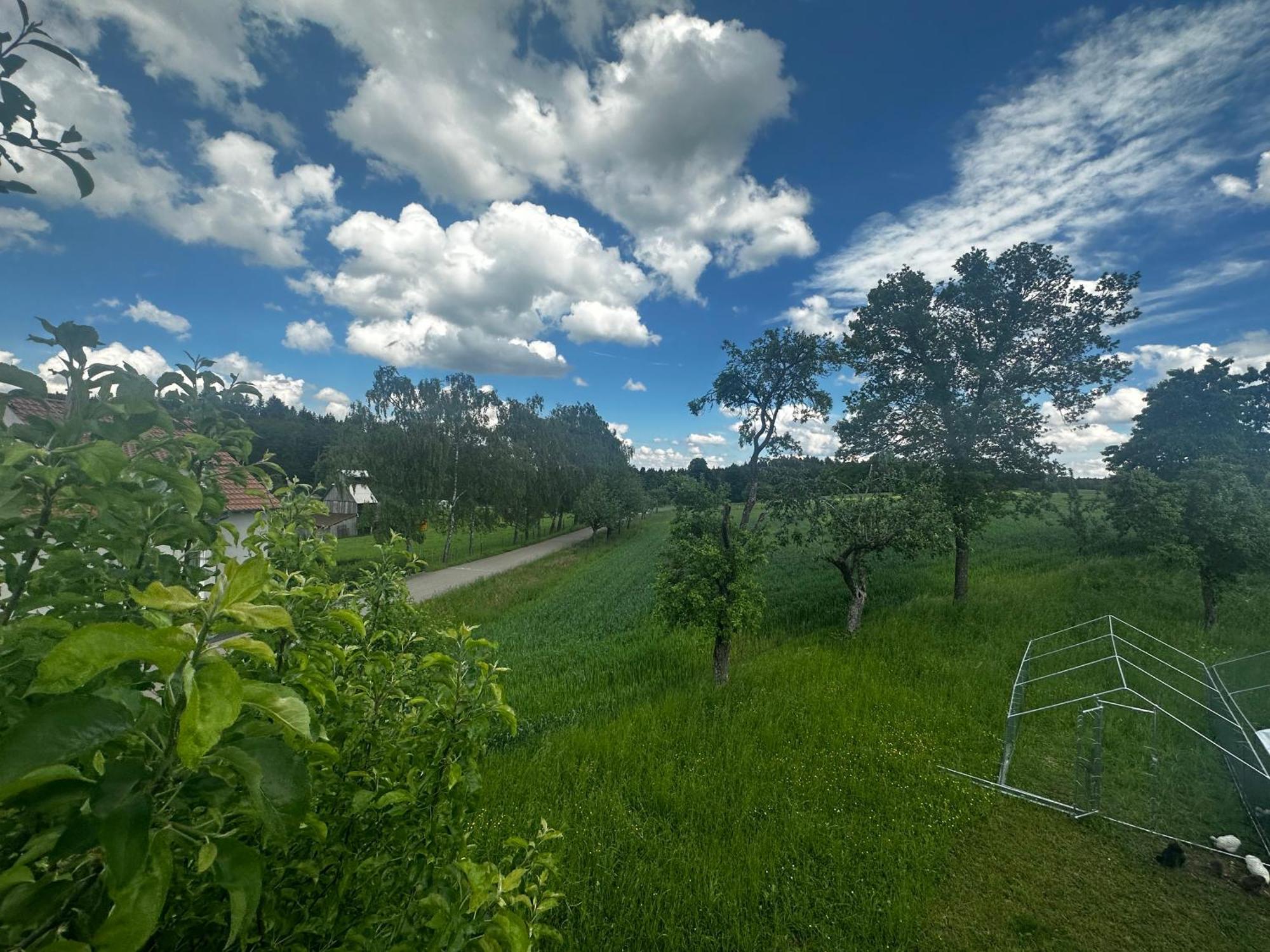Ferienunterkunft Schwaebischer Wald Oberrot Buitenkant foto